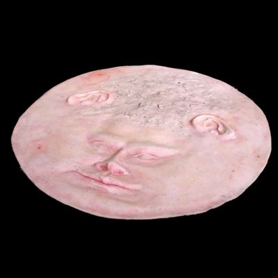 Stereographic Projection