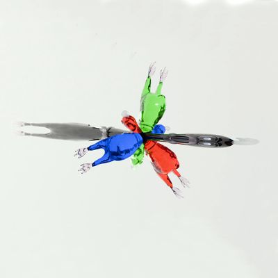 Horizontal Dispersion of Chicken