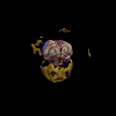 Exploding Head