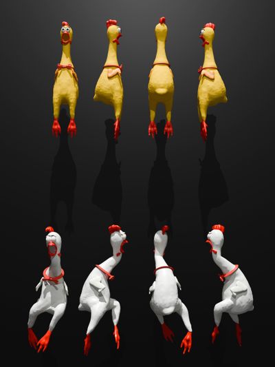 Chicken Evolution