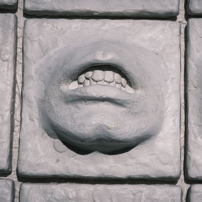 Universal Emotion